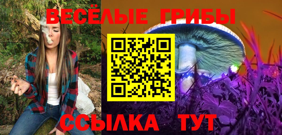 Галлюциногенные грибы Cubensis Гудермес