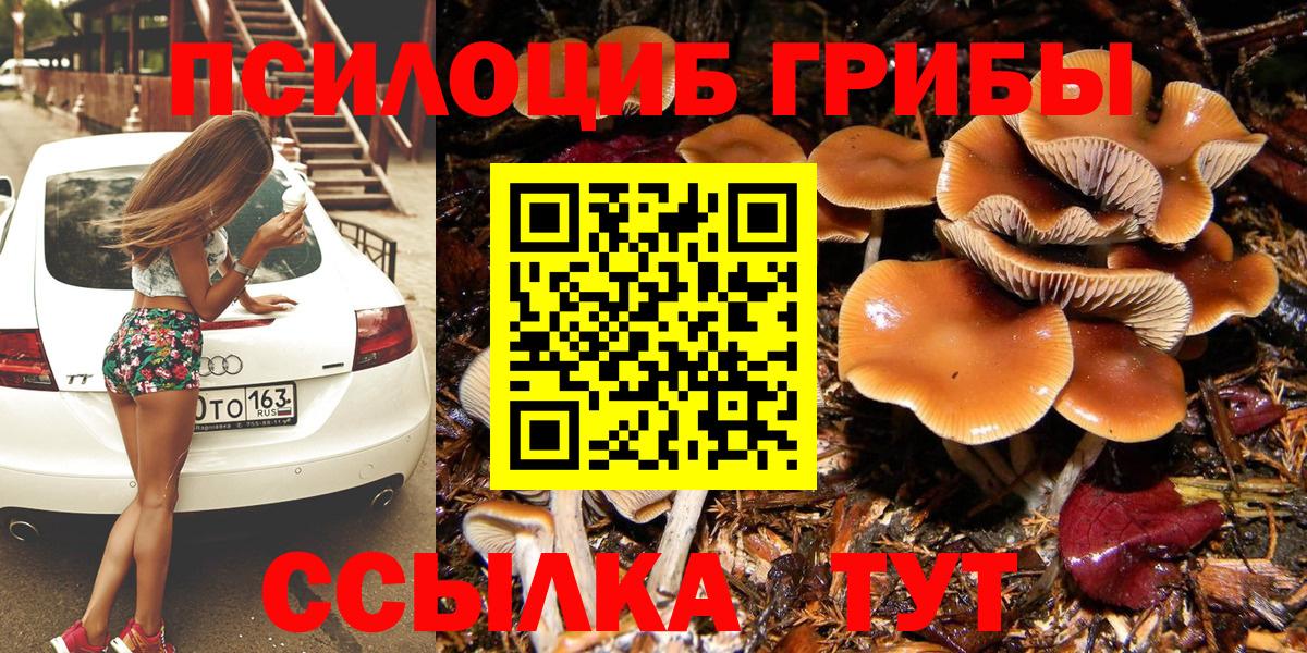 Галлюциногенные грибы Cubensis  Вход с VPN  Галлюциногенные грибы мухоморы  Гудермес 